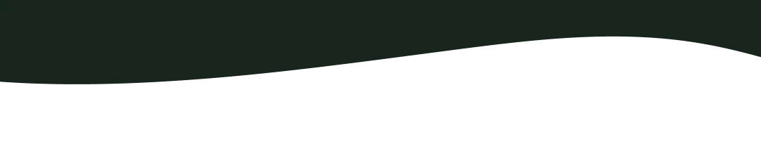 Mobile image
